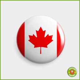 Flagge Zentralafrikanische Republik Button