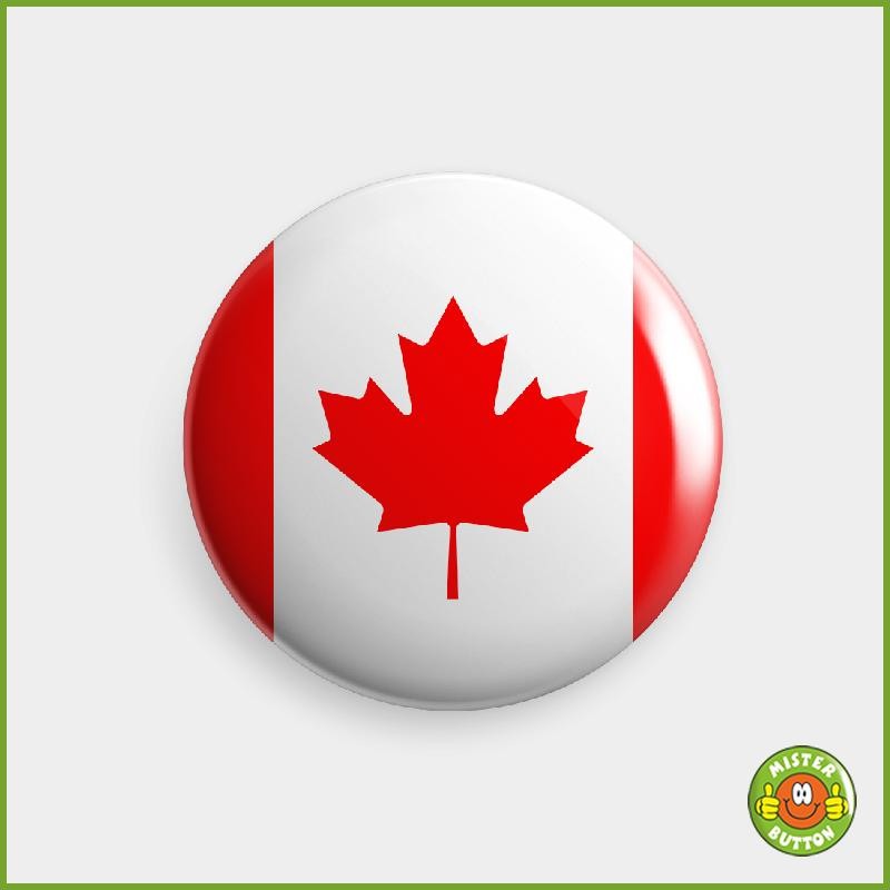Flagge Zentralafrikanische Republik Button
