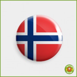 Flagge Norwegen Button